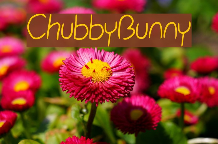 Chubby_Bunny Font examples