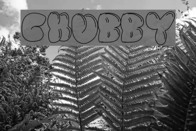 Chubby Font examples
