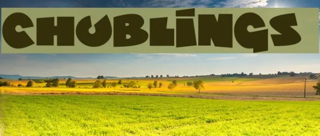 Chublings Example 2
