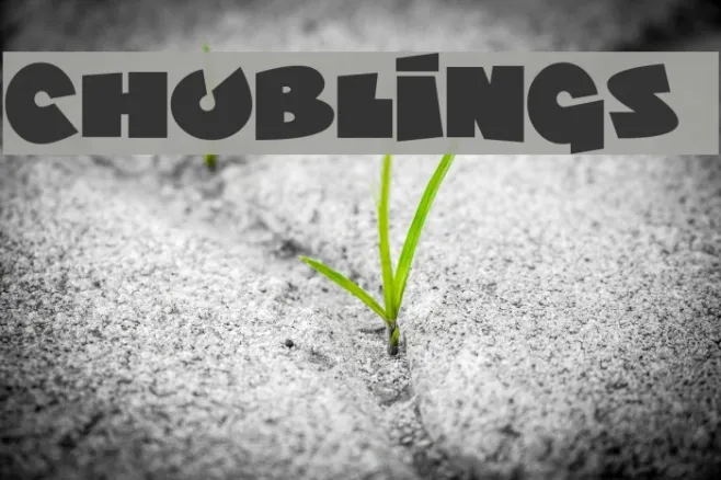Chublings Example 3