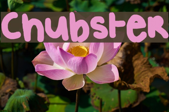 Chubster Font examples