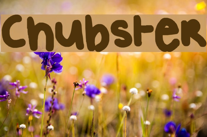 Chubster Font examples