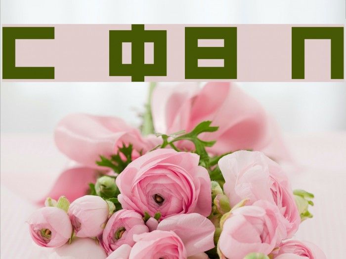 Chubu 08 Normal Font examples