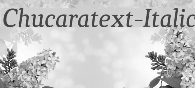 Chucaratext-Italic Font examples