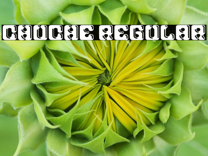 Chuche Regular Example 2