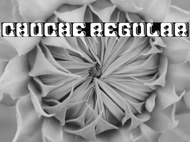 Chuche Regular Caratteri examples