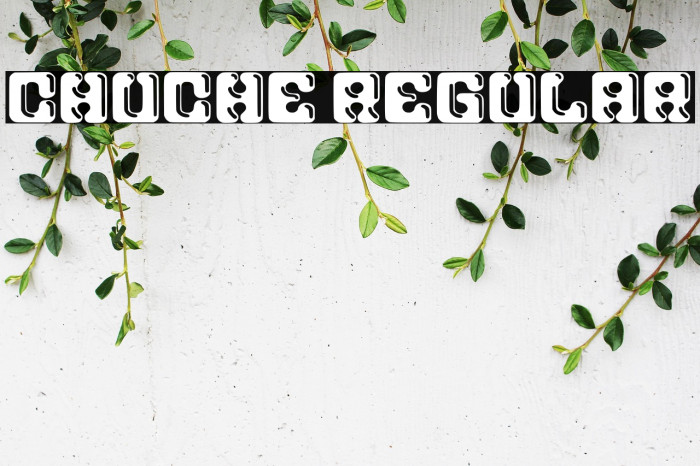 Chuche Regular Example 3