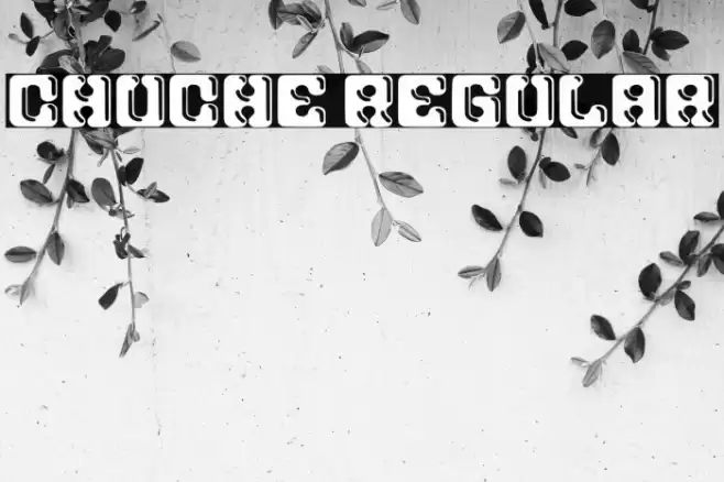 Chuche Regular Caratteri examples