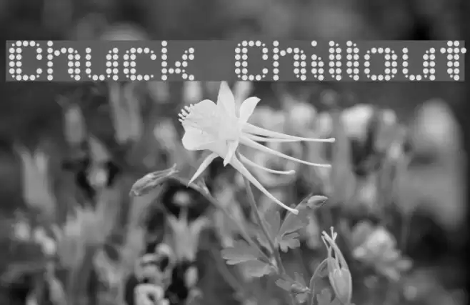 Chuck Chillout Font examples