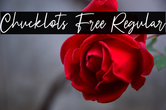 Chucklots Free Regular Example 1