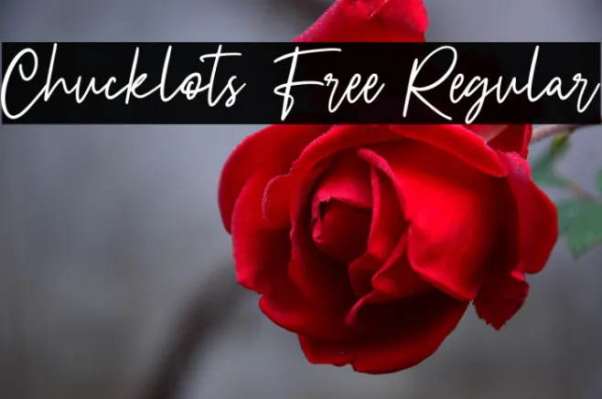 Chucklots Free Regular Example 1