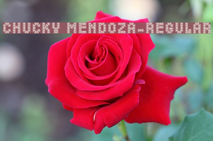 Chucky Mendoza-Regular Font examples