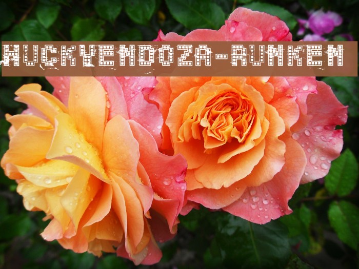 ChuckyMendoza-Drunken Font examples