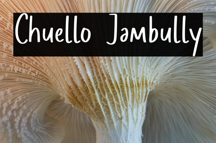 Chuello Jambully Example 1