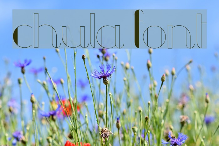 Chula Font examples