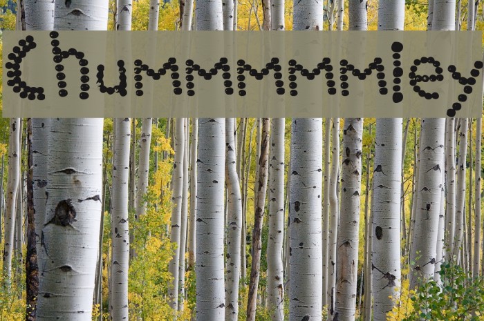 Chummmmmley Font examples