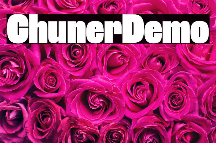 Chuner Demo Example 3