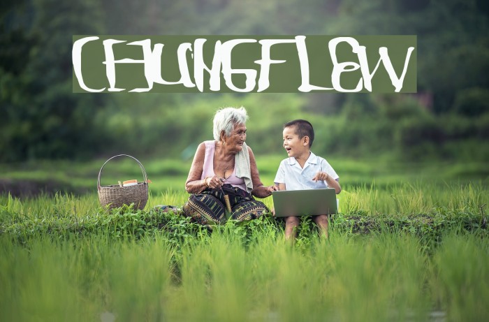 ChungFlew Font examples