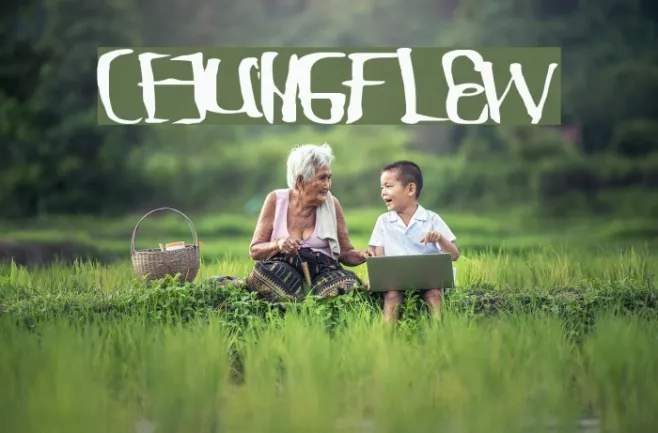 ChungFlew Example 1