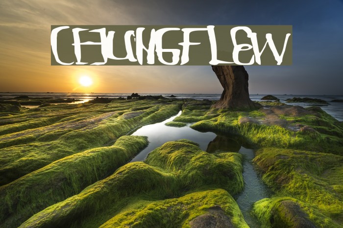 ChungFlew Font examples