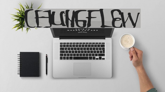 ChungFlew Font examples
