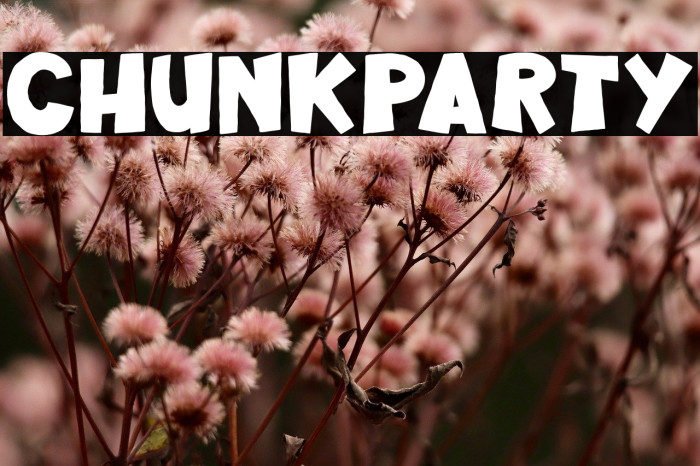 Chunk Party Example 2