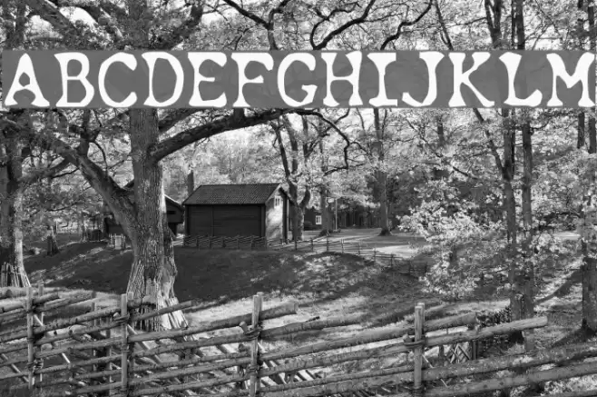 Chunk Type Font examples