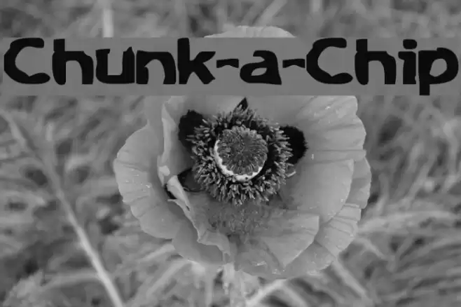 Chunk-a-Chip Шрифта examples