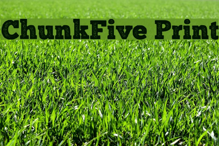ChunkFive Print Font examples