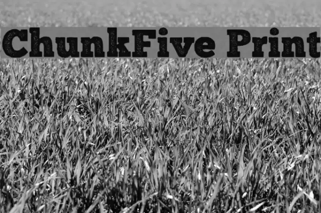 ChunkFive Print Font examples