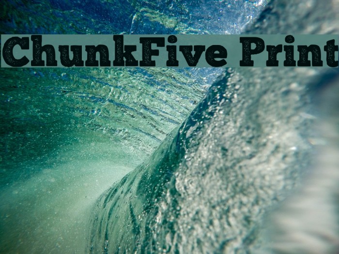 ChunkFive Print Font examples