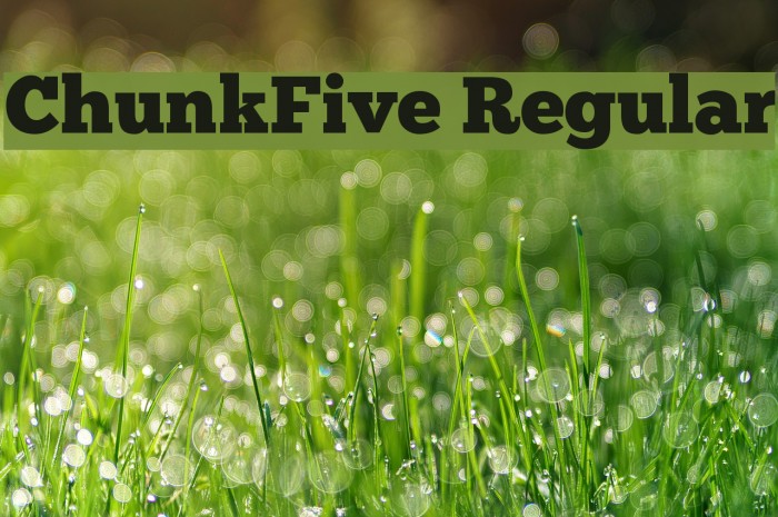 ChunkFive Regular Font examples