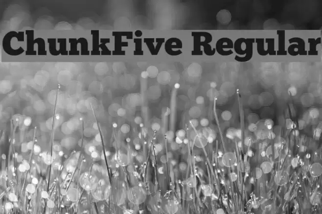 ChunkFive Regular Font examples