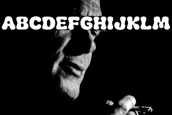 ChunkPlump-Regular Example 1