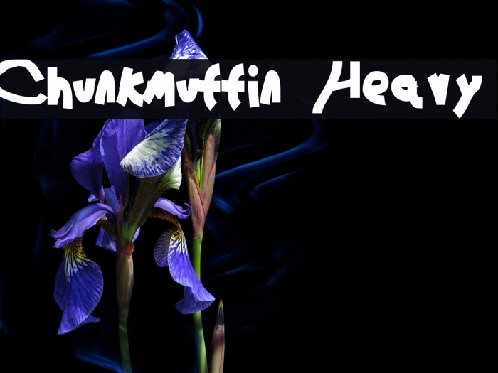 Chunkmuffin Heavy Fonte examples