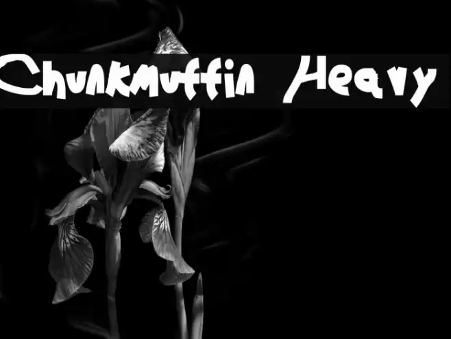 Chunkmuffin Heavy Fonte examples
