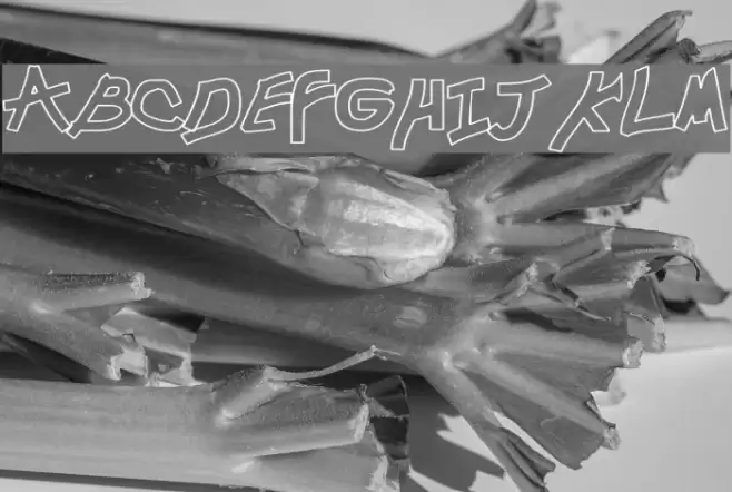 Chunkmuffin Hollow Wide Font examples