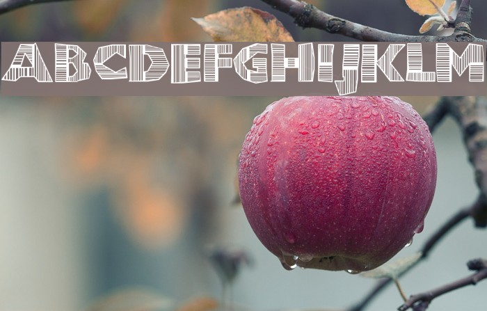 ChunkoBlockoDroppoCapo Font examples