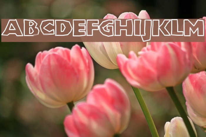 ChunkoBlockoOutlineXtraHeavy Font examples
