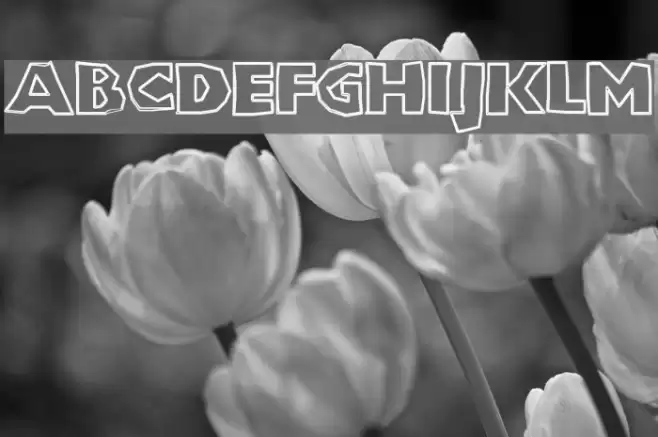 ChunkoBlockoOutlineXtraHeavy Font examples
