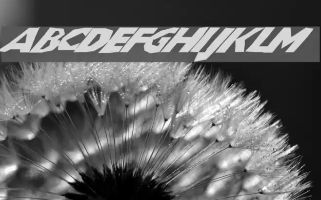 ChunkoBlockoSlantedWild Font examples