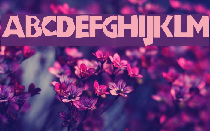 ChunkoBlockoThinner Font examples