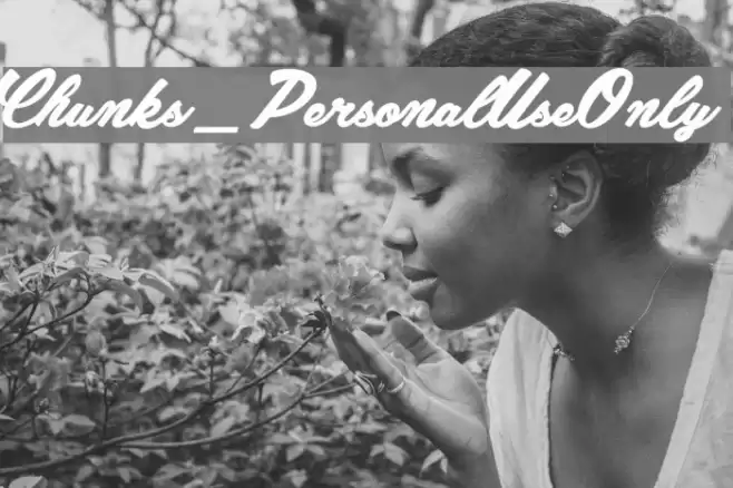Chunks_PersonalUseOnly Font examples