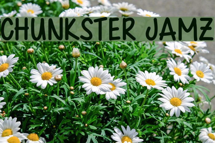 Chunkster Jamz Font examples