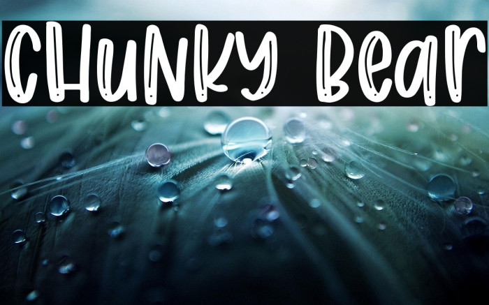 Chunky Bear Example 1