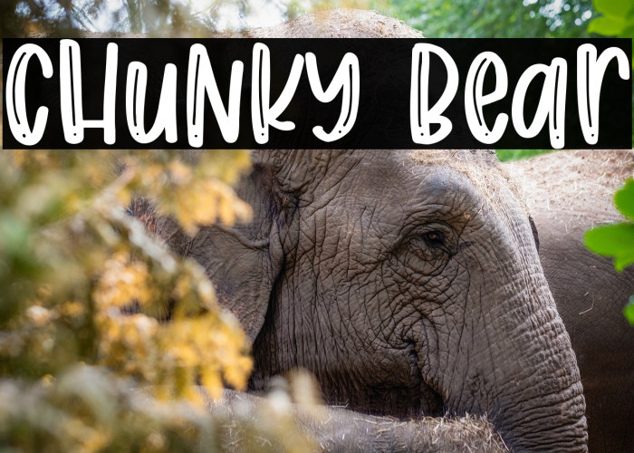 Chunky Bear Example 3