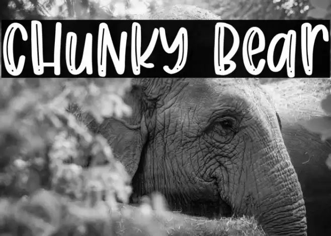 Chunky Bear Caratteri examples