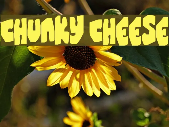 Chunky Cheese Example 1