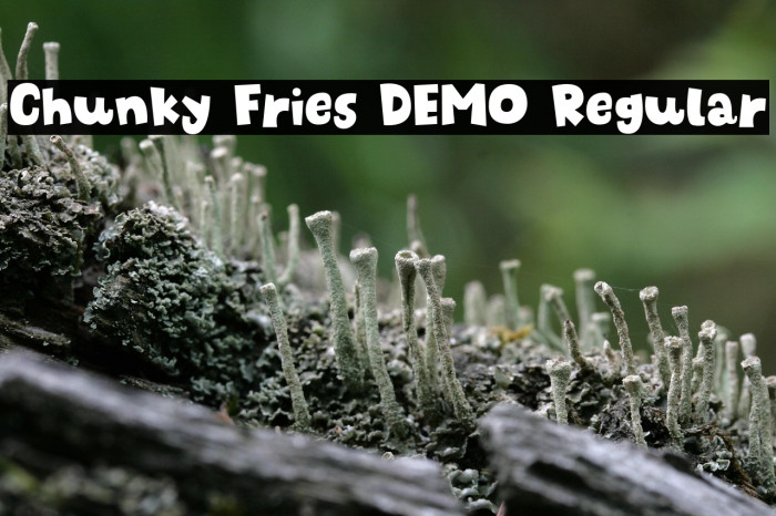 Chunky Fries DEMO Regular Example 1