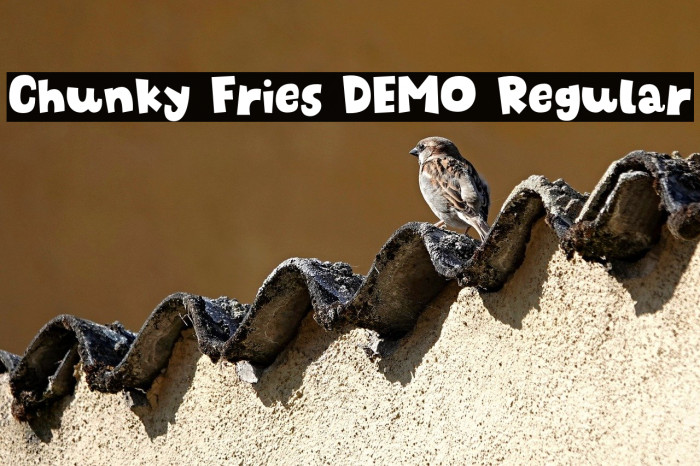 Chunky Fries DEMO Regular Example 2